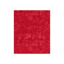 Red Crushed Velvet Blanket-4